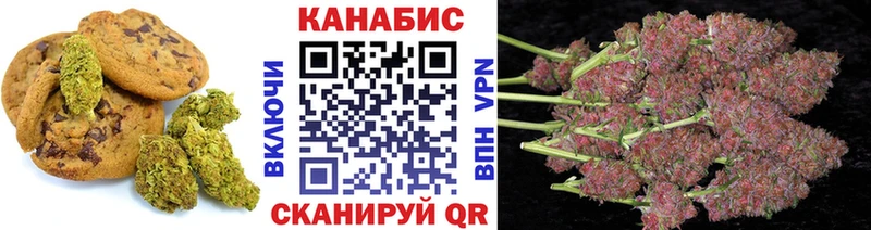 купить наркоту  Терек  Еда ТГК марихуана 
