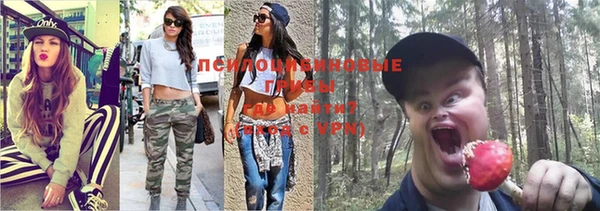 a pvp Майский