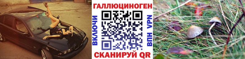 Галлюциногенные грибы мухоморы  Терек 